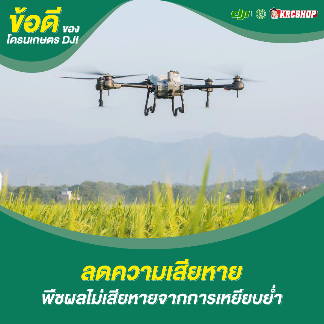 ข้อดีของโดรนเกษตร DJI ลดความเสียหาย พืชผลไม่เสียหายจากการเหยียบย่ำ